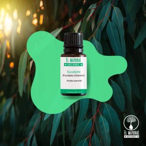 Aceite de Eucalipto