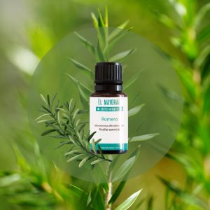 Aceite de Romero